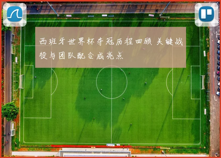 西班牙世界杯夺冠历程回顾 关键战役与团队配合成亮点
