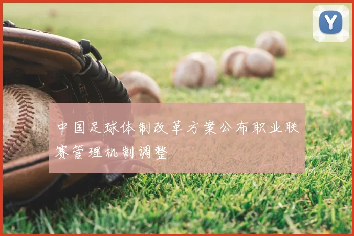 中国足球体制改革方案公布职业联赛管理机制调整