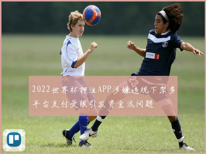 2022世界杯押注APP涉嫌违规下架多平台支付受限引发资金流问题